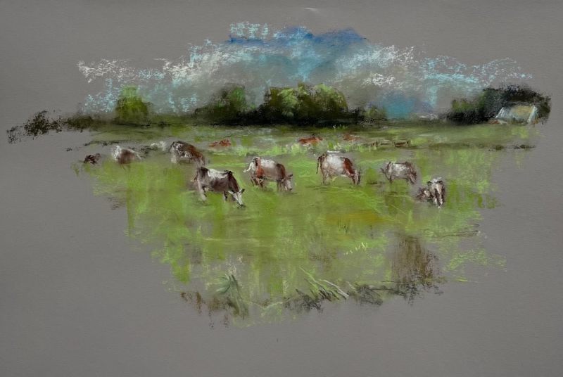 2024 0016 ppl img large